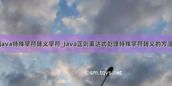 java特殊字符转义字符_Java正则表达式处理特殊字符转义的方法