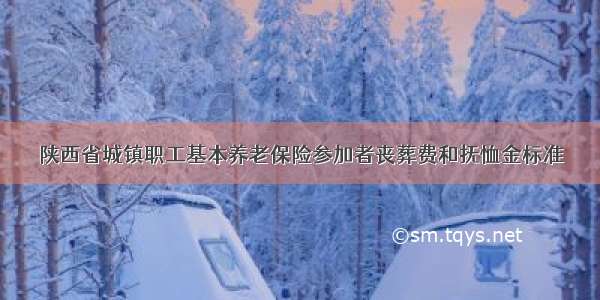 陕西省城镇职工基本养老保险参加者丧葬费和抚恤金标准