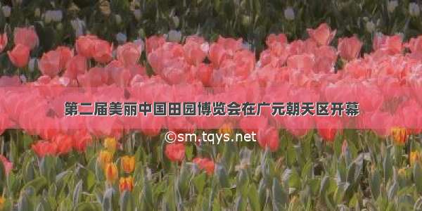 第二届美丽中国田园博览会在广元朝天区开幕
