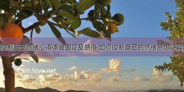 控制自己情绪心得体会图花及感悟 如何控制自己的情绪感想(5篇)