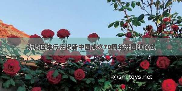 新城区举行庆祝新中国成立70周年升国旗仪式