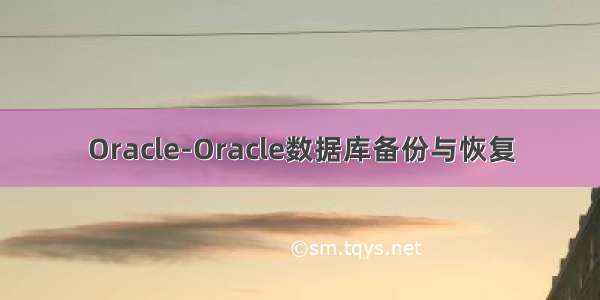 Oracle-Oracle数据库备份与恢复