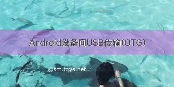 Android设备间USB传输(OTG)