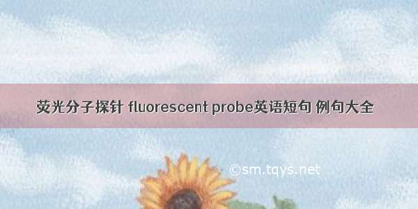 荧光分子探针 fluorescent probe英语短句 例句大全