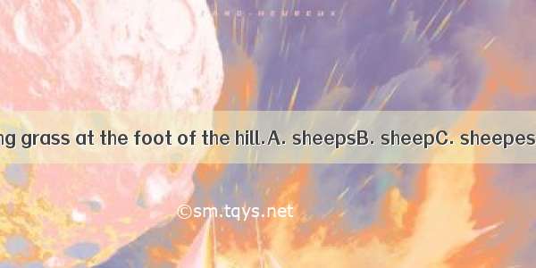 Six  are eating grass at the foot of the hill.A. sheepsB. sheepC. sheepesD. shoop