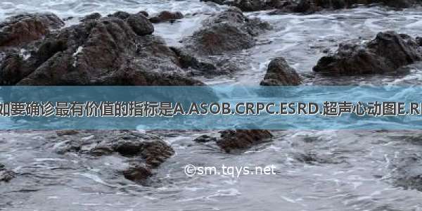 如要确诊最有价值的指标是A.ASOB.CRPC.ESRD.超声心动图E.RF