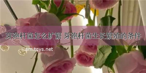 芽孢杆菌怎么扩繁 芽孢杆菌生长繁殖的条件