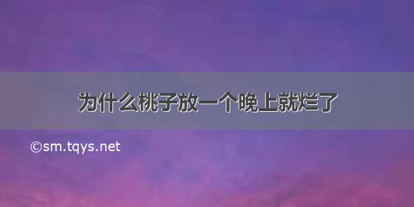 为什么桃子放一个晚上就烂了