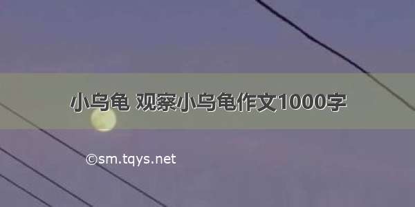 小乌龟 观察小乌龟作文1000字