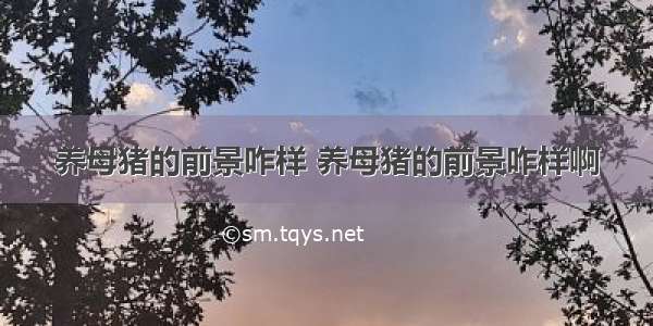 养母猪的前景咋样 养母猪的前景咋样啊