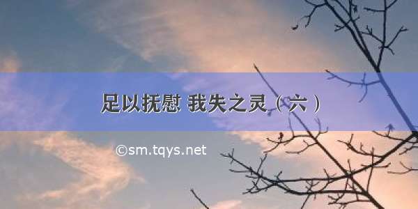 足以抚慰 我失之灵（六）