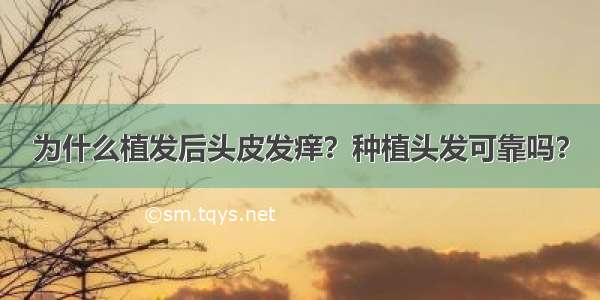 为什么植发后头皮发痒？种植头发可靠吗？