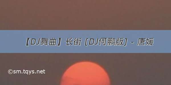 【DJ舞曲】长街 (DJ何鹏版) - 唐媛