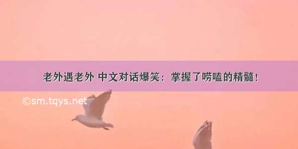 老外遇老外 中文对话爆笑：掌握了唠嗑的精髓！