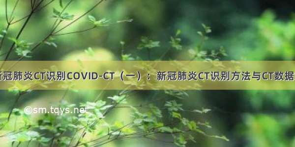 新冠肺炎CT识别COVID-CT（一）：新冠肺炎CT识别方法与CT数据集