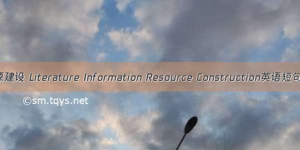 文献信息资源建设 Literature Information Resource Construction英语短句 例句大全