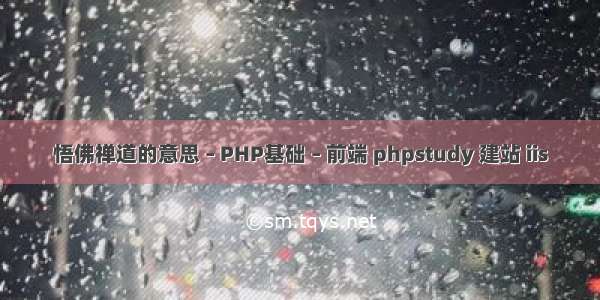 悟佛禅道的意思 – PHP基础 – 前端 phpstudy 建站 iis