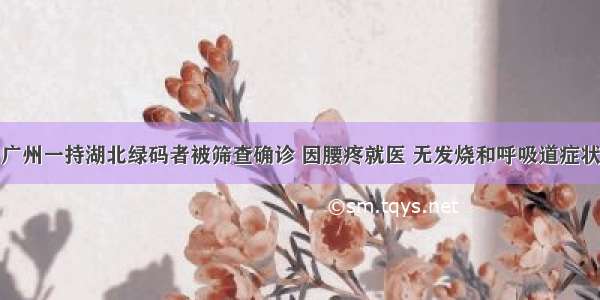 广州一持湖北绿码者被筛查确诊 因腰疼就医 无发烧和呼吸道症状