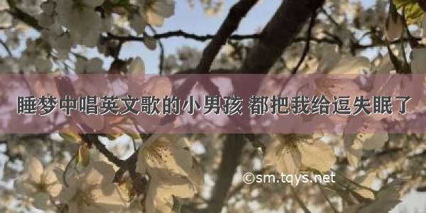 睡梦中唱英文歌的小男孩 都把我给逗失眠了