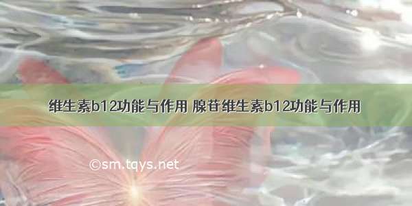 维生素b12功能与作用 腺苷维生素b12功能与作用