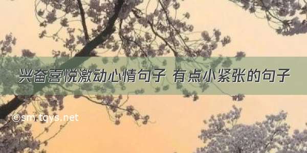 兴奋喜悦激动心情句子 有点小紧张的句子