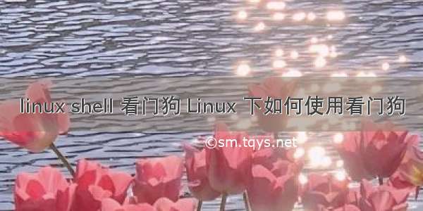linux shell 看门狗 Linux 下如何使用看门狗