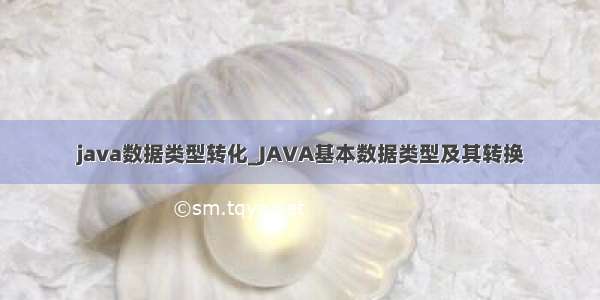 java数据类型转化_JAVA基本数据类型及其转换