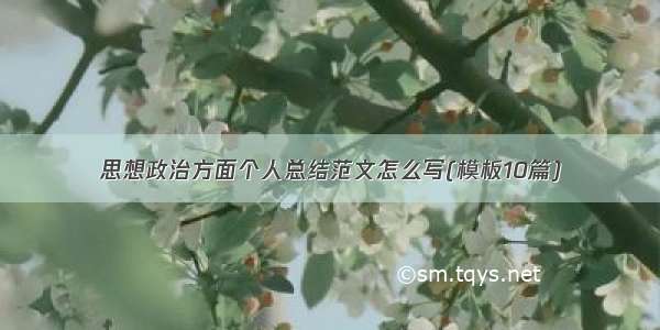 思想政治方面个人总结范文怎么写(模板10篇)