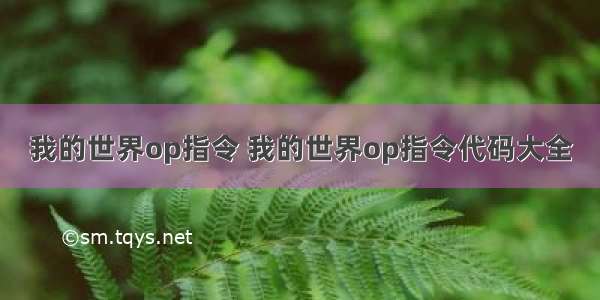 我的世界op指令 我的世界op指令代码大全