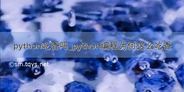 python吃香吗_python编程为何这么吃香