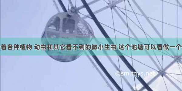 池塘里生活着各种植物 动物和其它看不到的微小生物 这个池塘可以看做一个A.生态系统