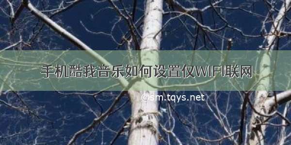 手机酷我音乐如何设置仅WIFI联网