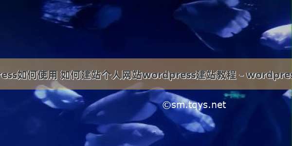 wordpress如何使用 如何建站个人网站wordpress建站教程 – wordpress – 前端