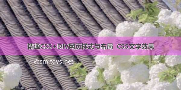 精通CSS+DIV网页样式与布局  CSS文字效果