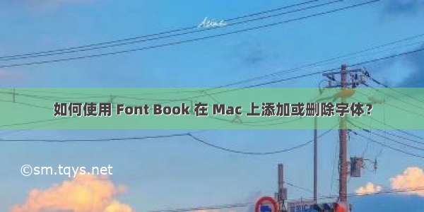 如何使用 Font Book 在 Mac 上添加或删除字体？