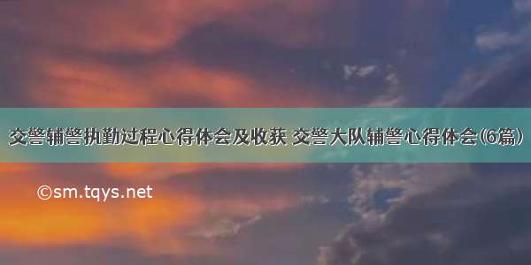 交警辅警执勤过程心得体会及收获 交警大队辅警心得体会(6篇)