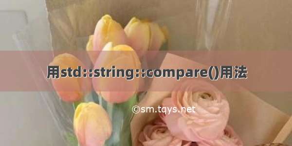用std::string::compare()用法