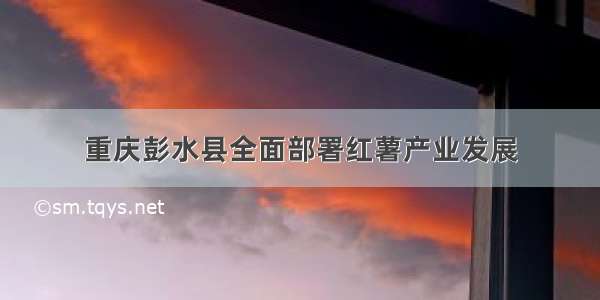 重庆彭水县全面部署红薯产业发展
