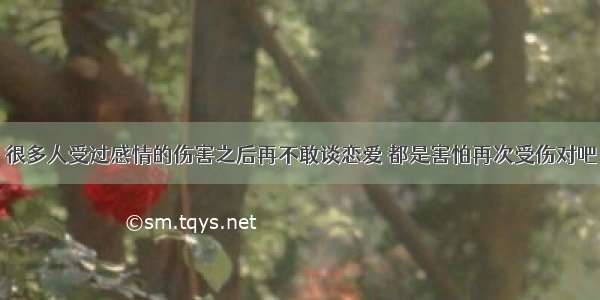 很多人受过感情的伤害之后再不敢谈恋爱 都是害怕再次受伤对吧