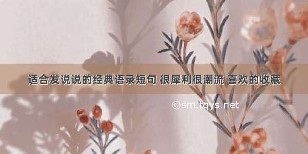 适合发说说的经典语录短句 很犀利很潮流 喜欢的收藏