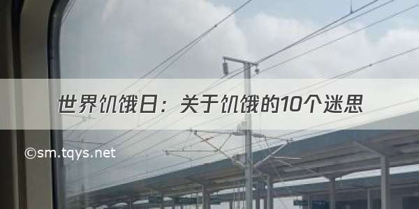 世界饥饿日：关于饥饿的10个迷思