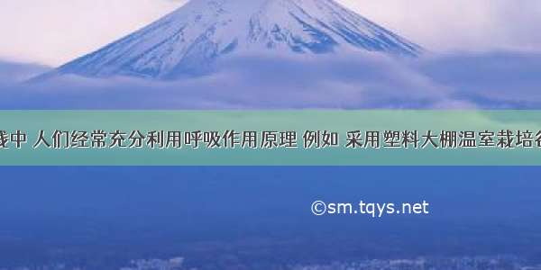 在生产实践中 人们经常充分利用呼吸作用原理 例如 采用塑料大棚温室栽培谷果蔬菜时