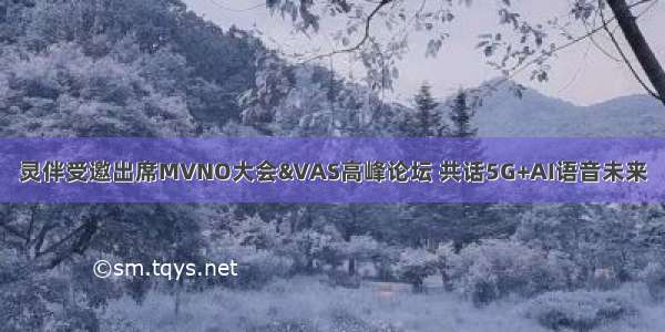 灵伴受邀出席MVNO大会&VAS高峰论坛 共话5G+AI语音未来