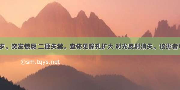 患者男 77岁。突发惊厥 二便失禁。查体见瞳孔扩大 对光反射消失。该患者可能是A.脑