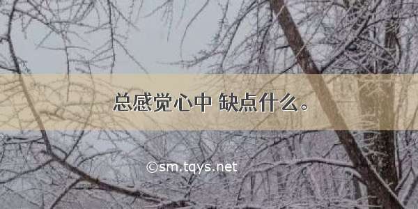 总感觉心中 缺点什么。