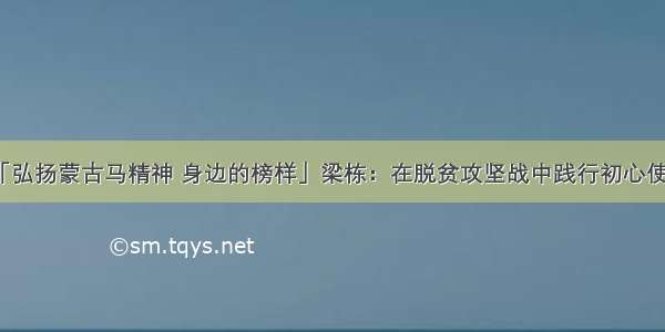 「弘扬蒙古马精神 身边的榜样」梁栋：在脱贫攻坚战中践行初心使命