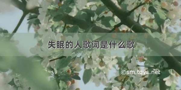 失眠的人歌词是什么歌