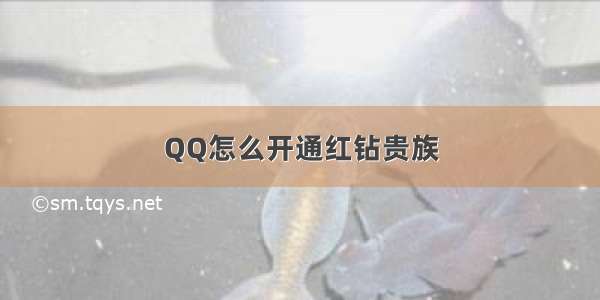 QQ怎么开通红钻贵族