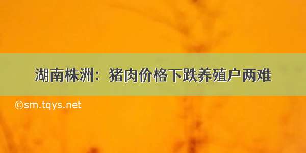 湖南株洲：猪肉价格下跌养殖户两难