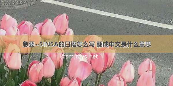 急要~SINSA的日语怎么写 翻成中文是什么意思